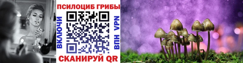 Псилоцибиновые грибы мицелий  площадка телеграм  Ряжск  даркнет сайт 